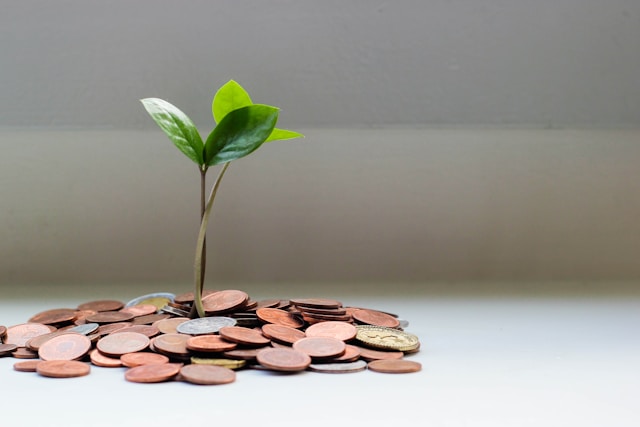 ¿Cómo medir la sostenibilidad de una empresa?